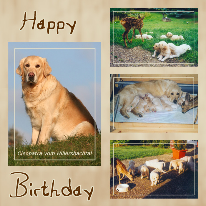 Happy Birthday C-Chen - 10.06.2003 Happy Birthday C-Chen - 10.06.2003