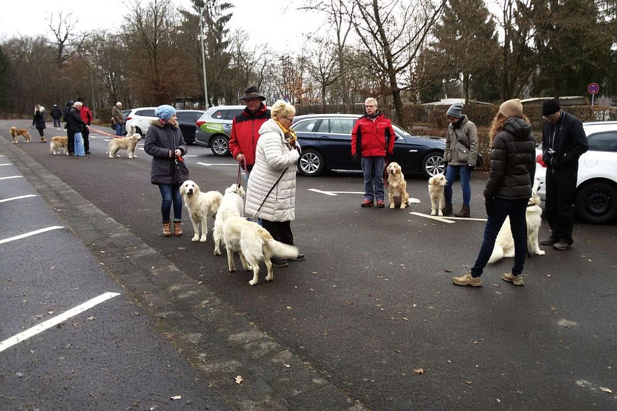 27.12.16 - 20161227_105642 A k