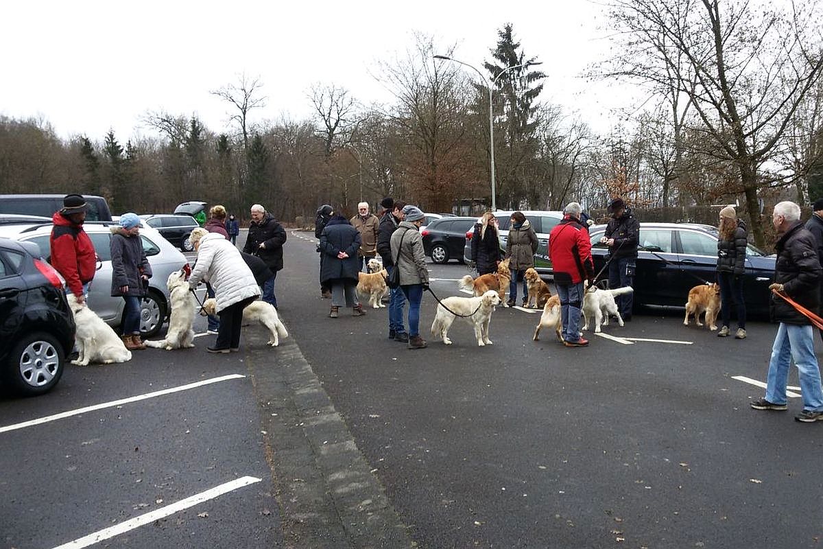 27.12.16 - 20161227_110839 A k