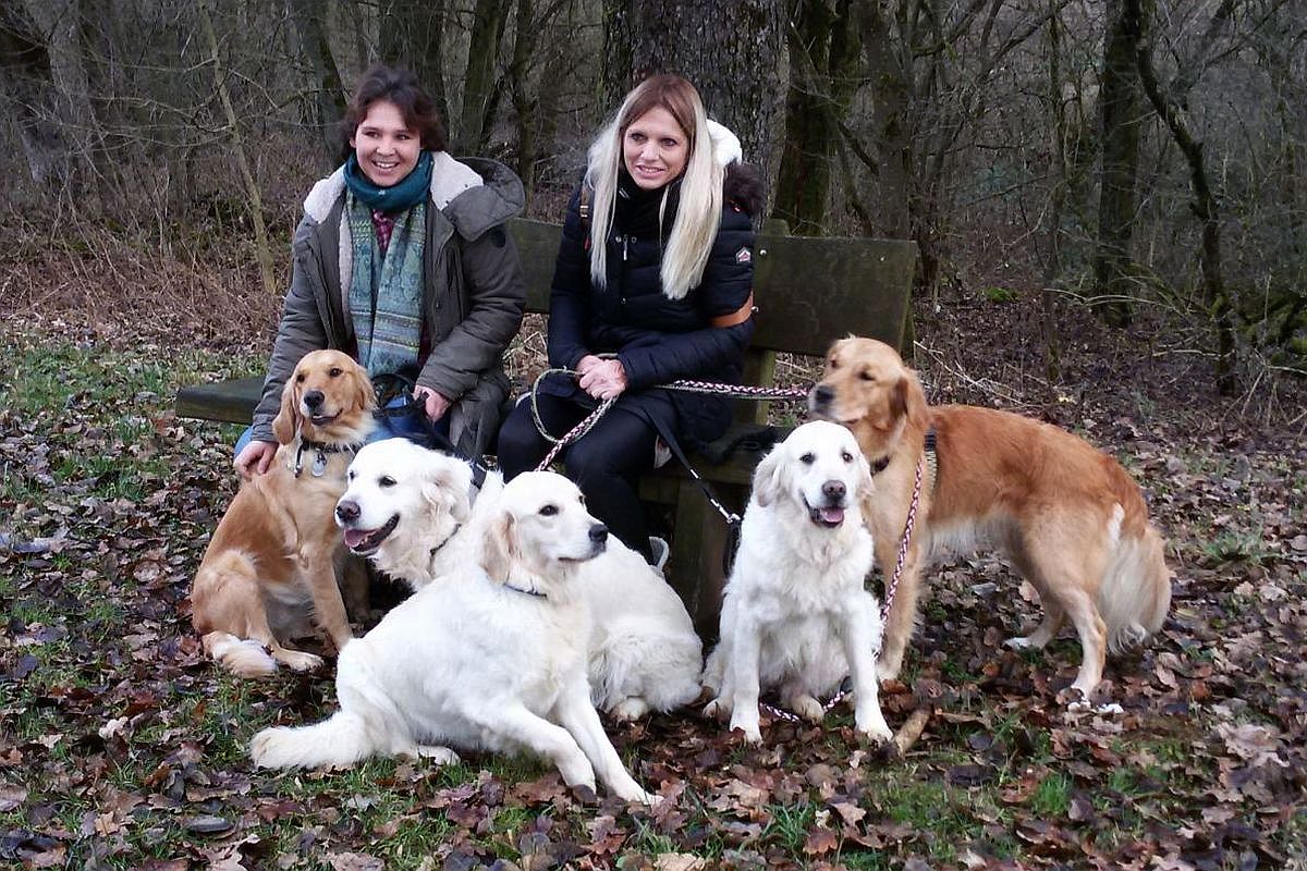 27.12.16 - 20161227_123329 A k