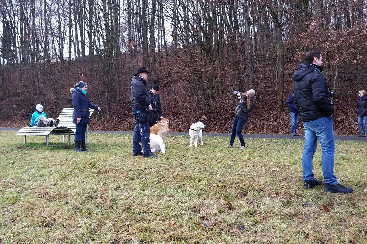 27.12.16 - 20161227_124111 A k