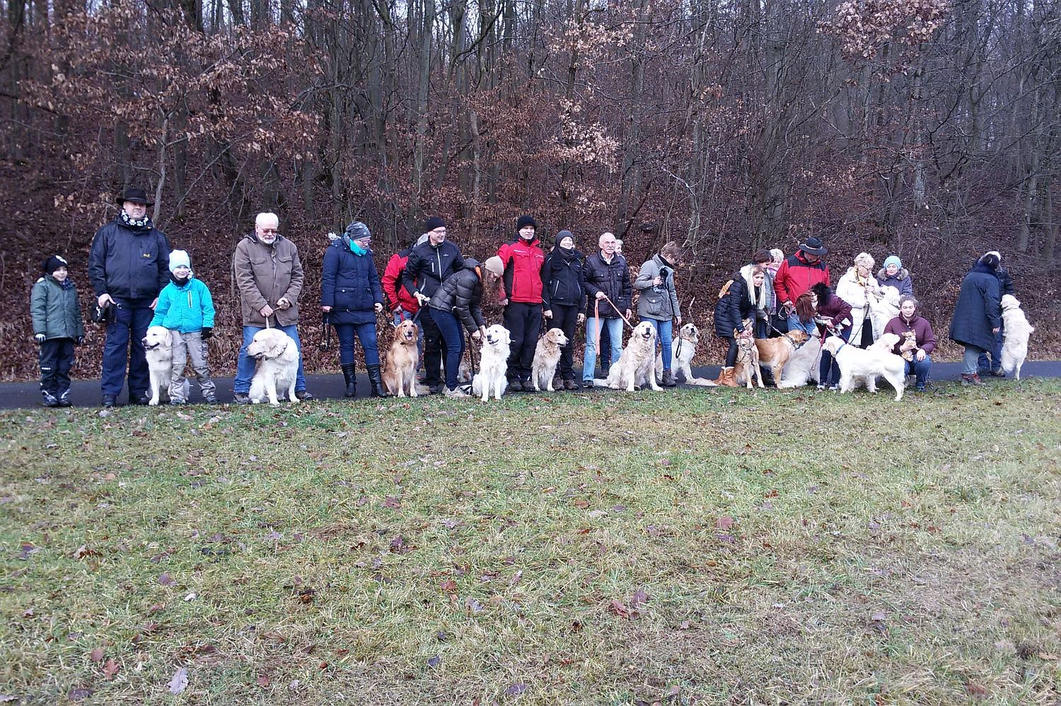 27.12.16 - 20161227_124232 A k